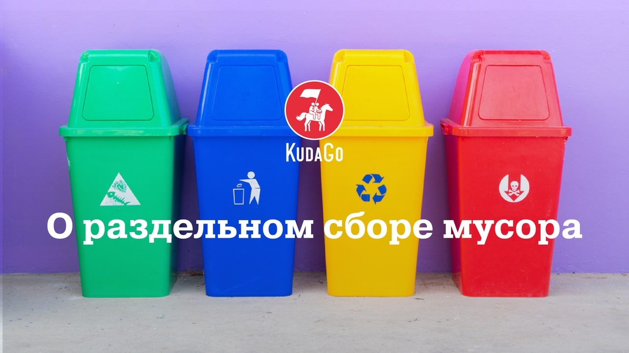 Команда KudaGo исследовала раздельный сбор мусора в Санкт-Петербурге