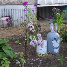 Серебряный возраст – время возможностей