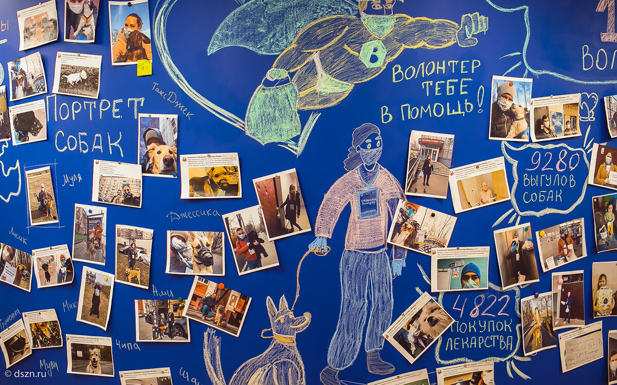 В День волонтера Москва благодарит добровольных помощников за бескорыстный труд и помощь