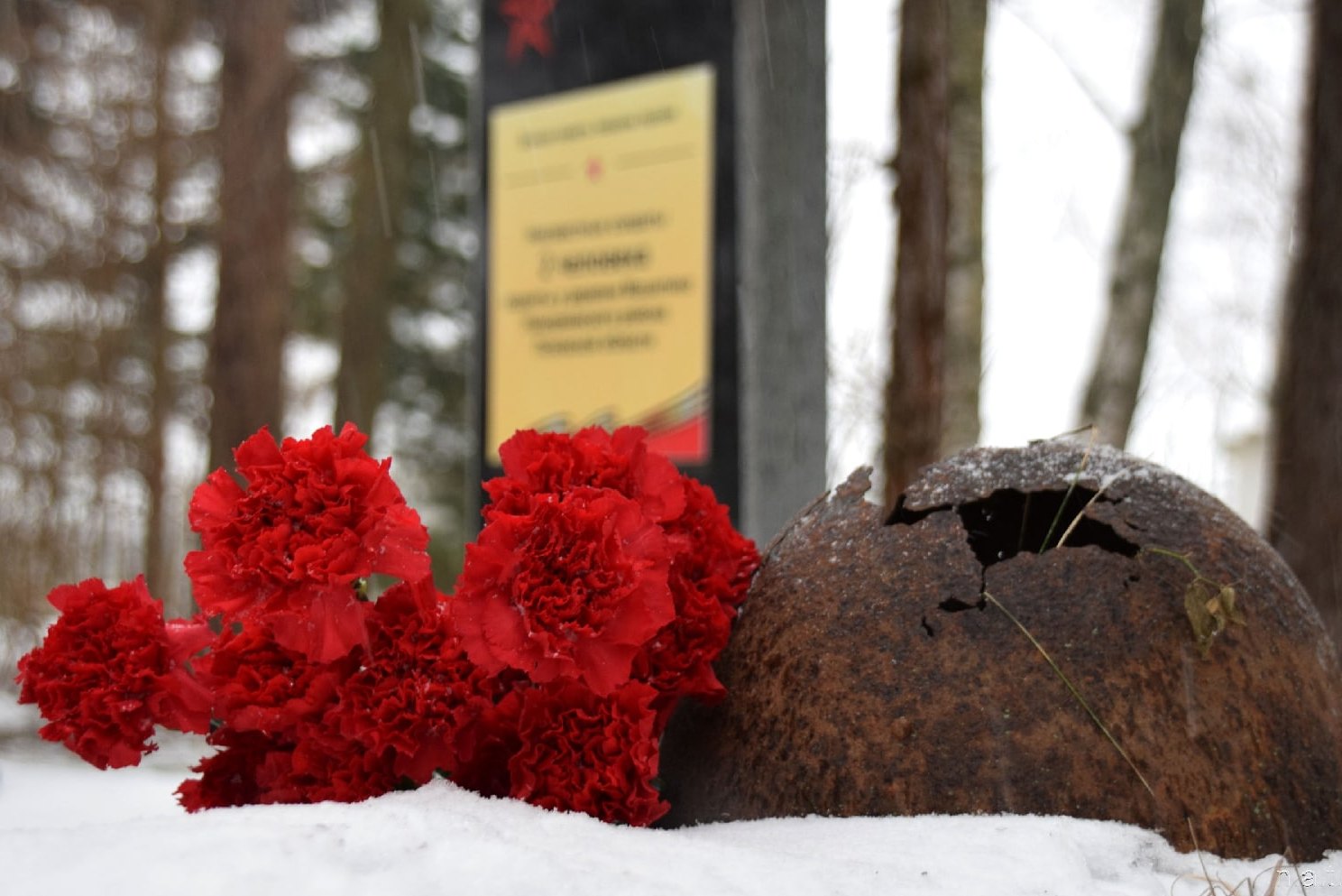 Волонтёры победы Псковской области присоединились к акции «Защитим память героев»