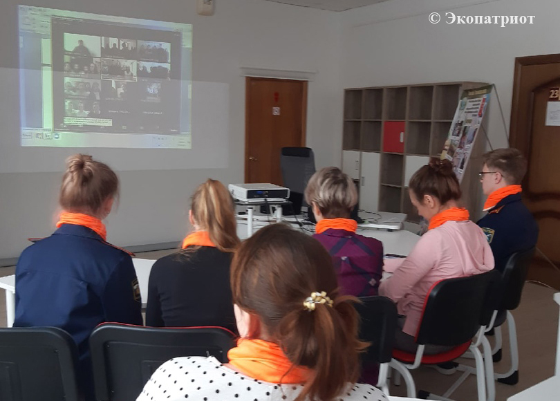 Интернет дружбе экоактивистов в помощь