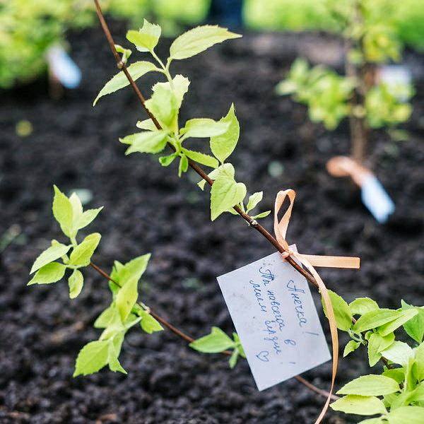 Благотворительный фонд помощи родителям в трудной жизненной ситуации «Свет в руках» проводит…