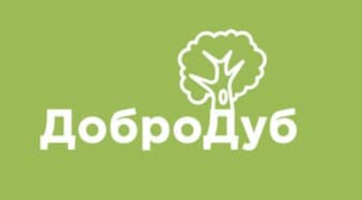 Социальный проект «твой лес победы» в память о победе в великой отечественной войне