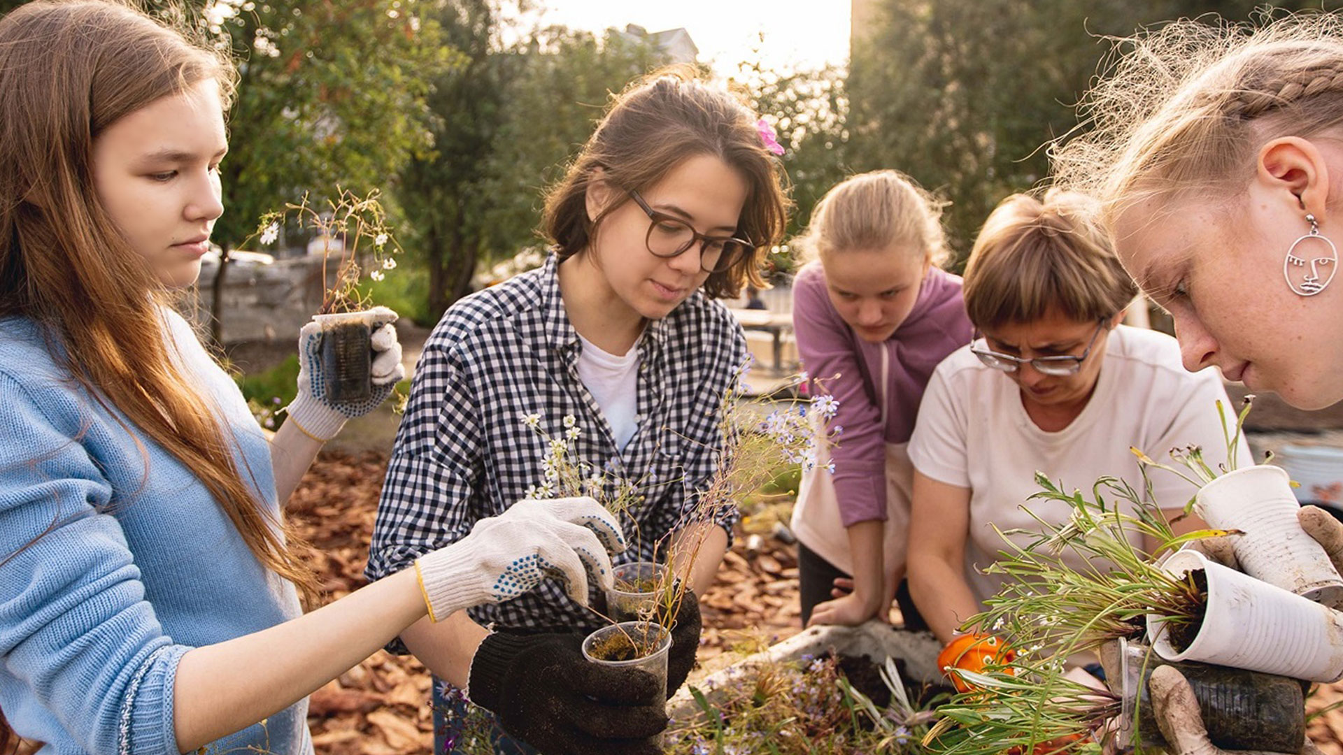Сад 61°69°: создавать локацию вместе с городом
