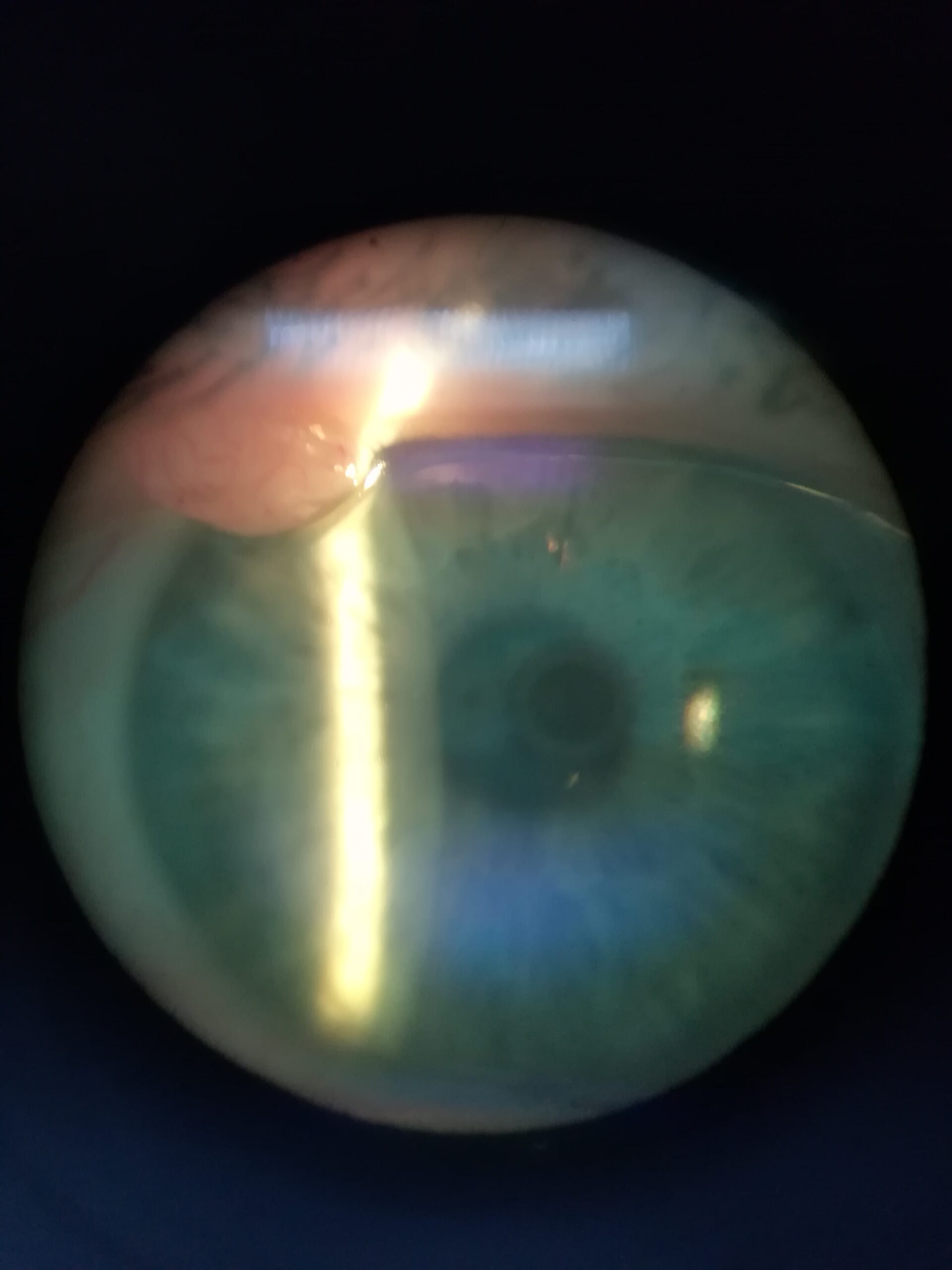 Всем здоровья, творческой работы и любви