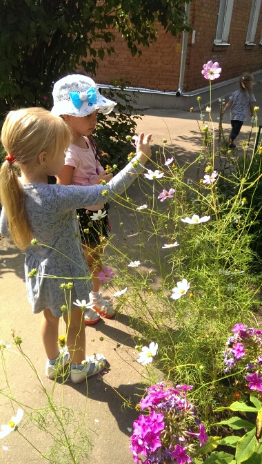 Добрые дела с детским садиком