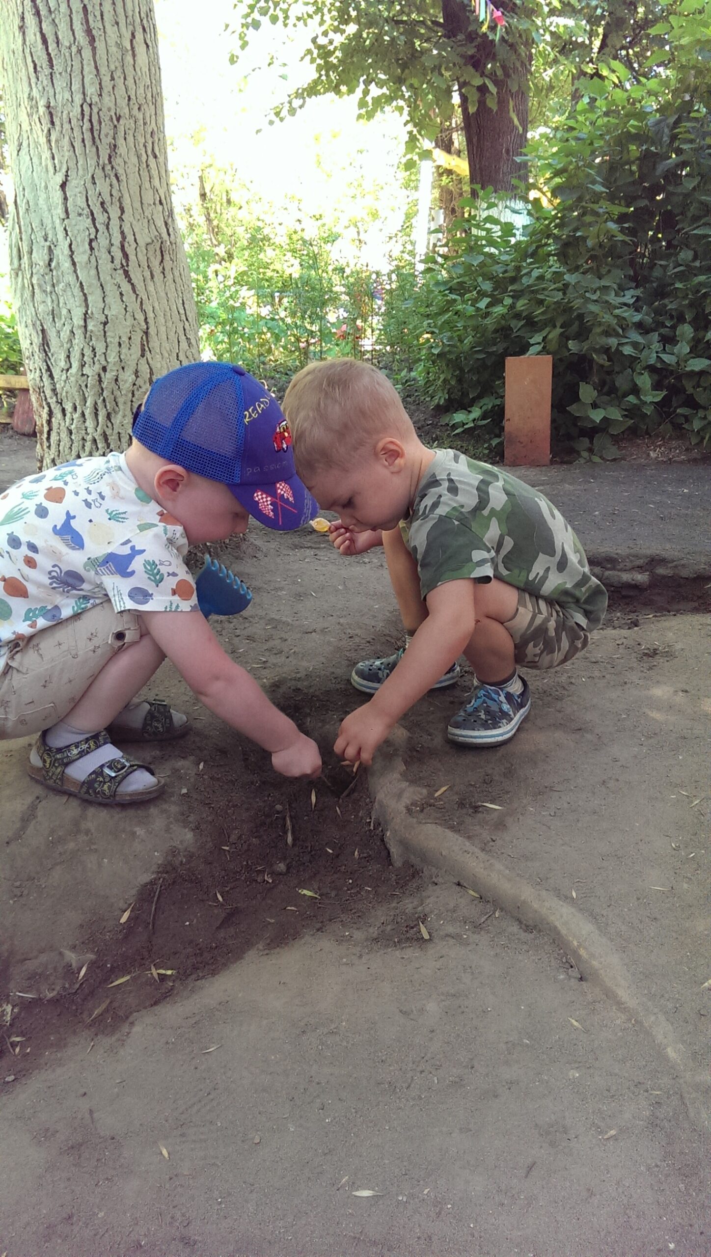 Экологический проект «С заботой о природе»