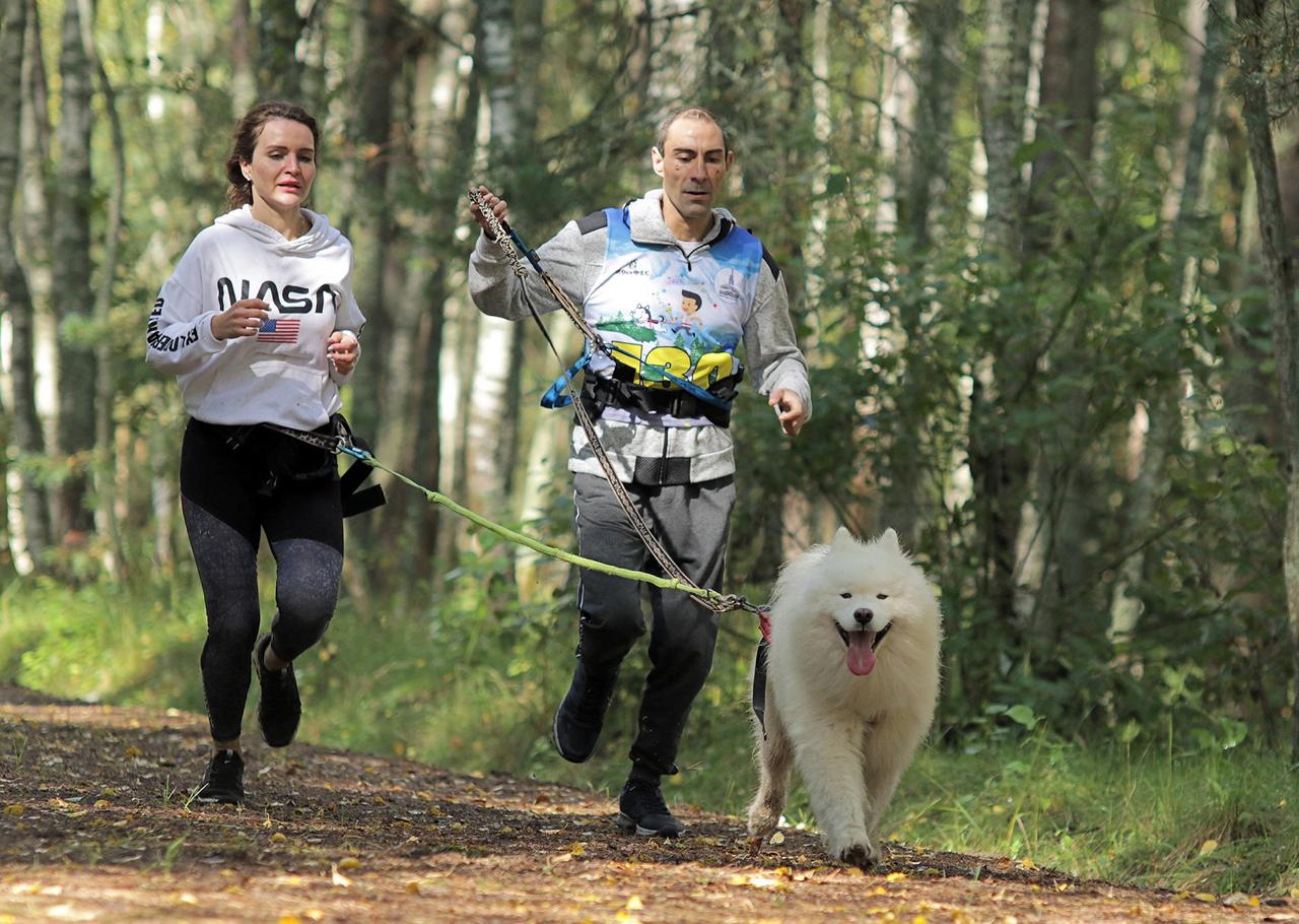 Жители столичных домов-интернатов приняли участие в инклюзивном фестивале ездового спорта…