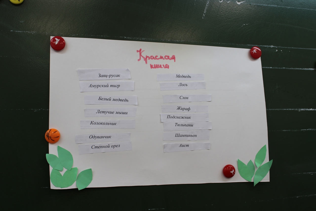 «Природа — наш дом»