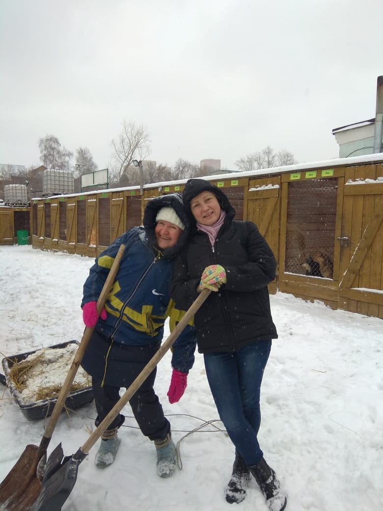 Как получить удовлетворение и радость от помощи собакам