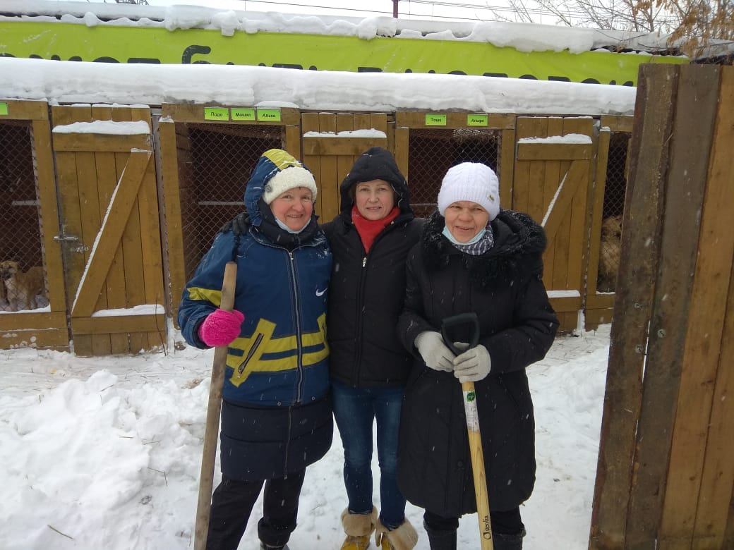 Как прошел день волонтера в приюте «Верность»