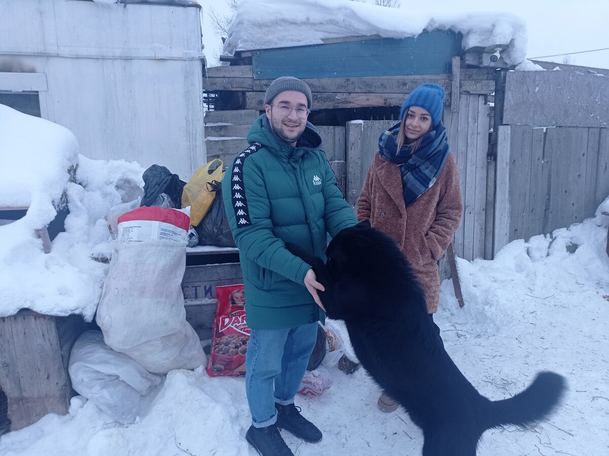 Помощь братьям нашим меньшим