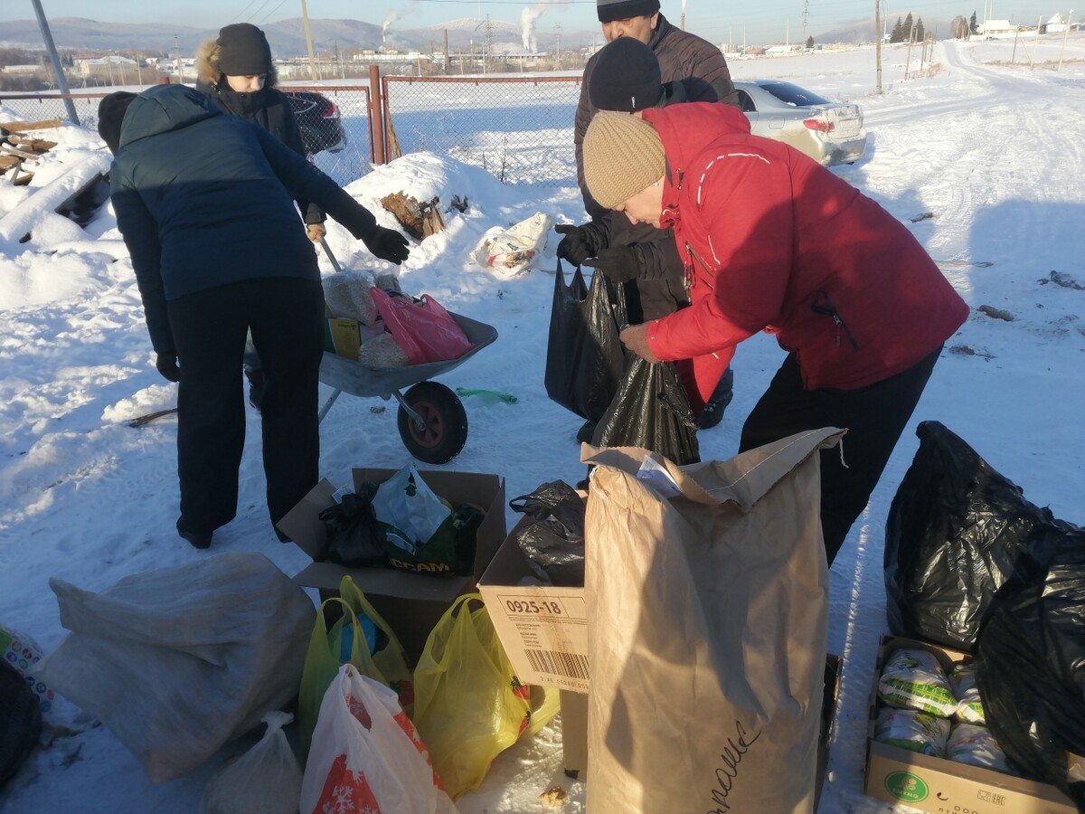 Помощь приюту для животных