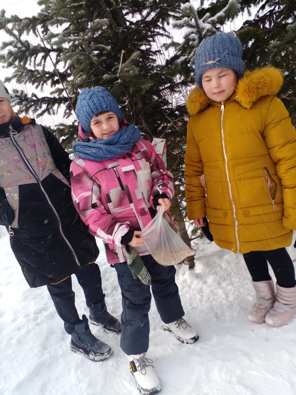 Птицы -наши друзья!