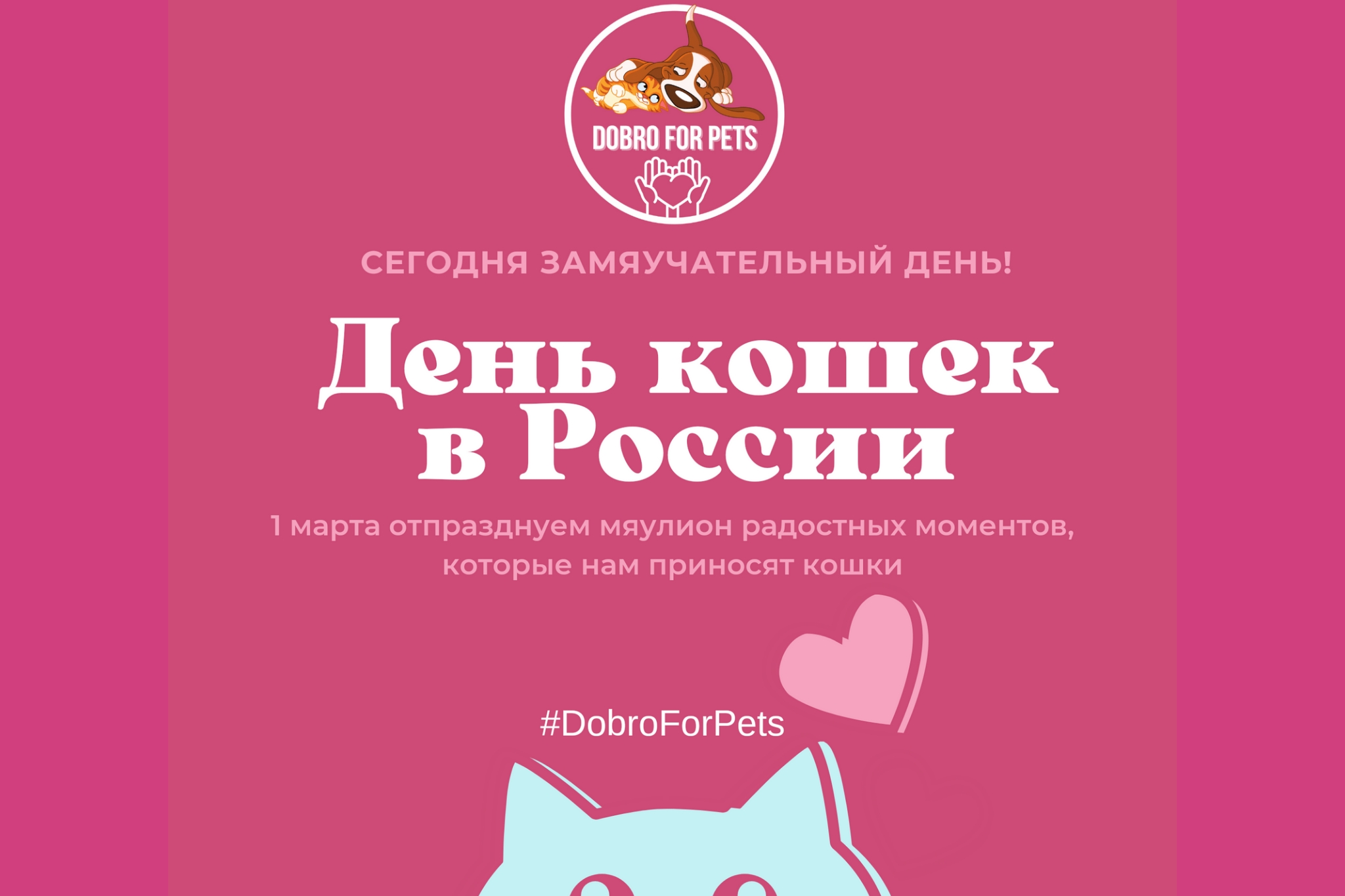 День кошек в Ульяновской области
