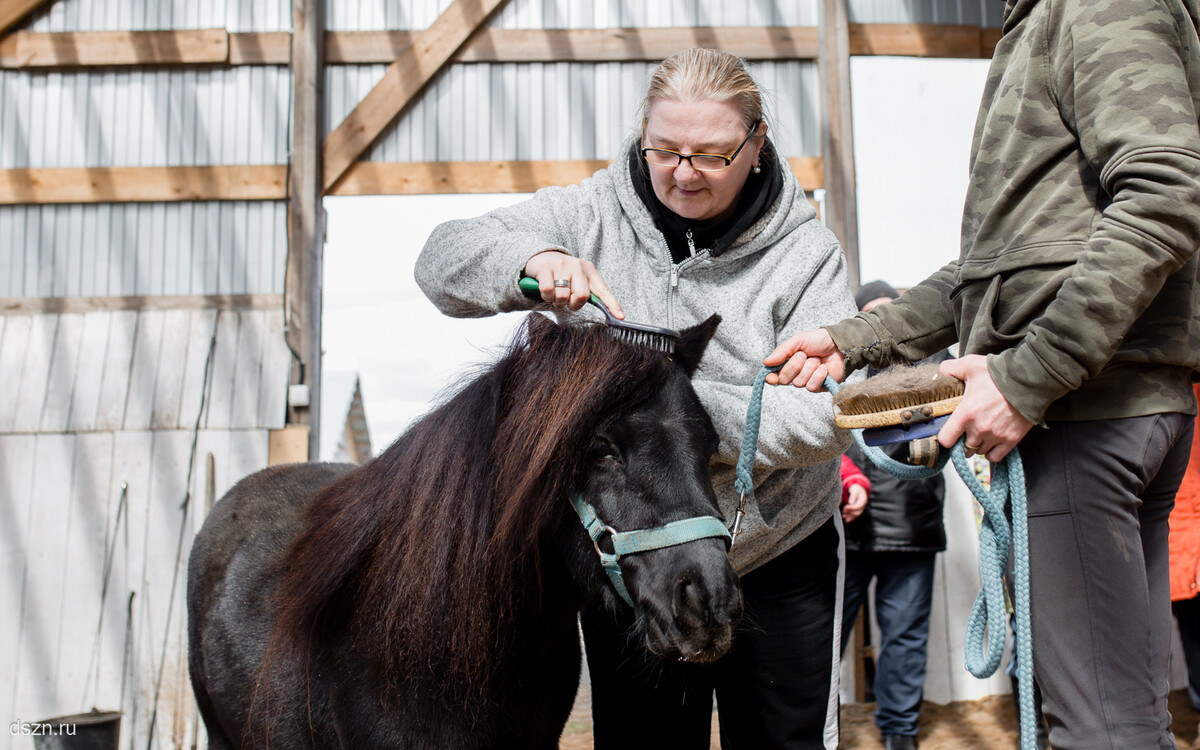 Реабилитация жителей социальных домов через иппотерапию