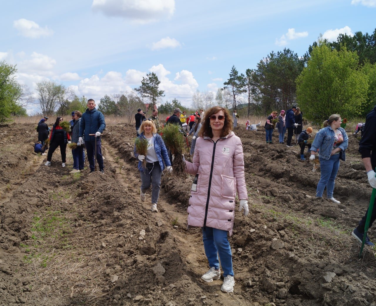 Сад на 1,5 тысячи сосен разбили в Благовещенском районе