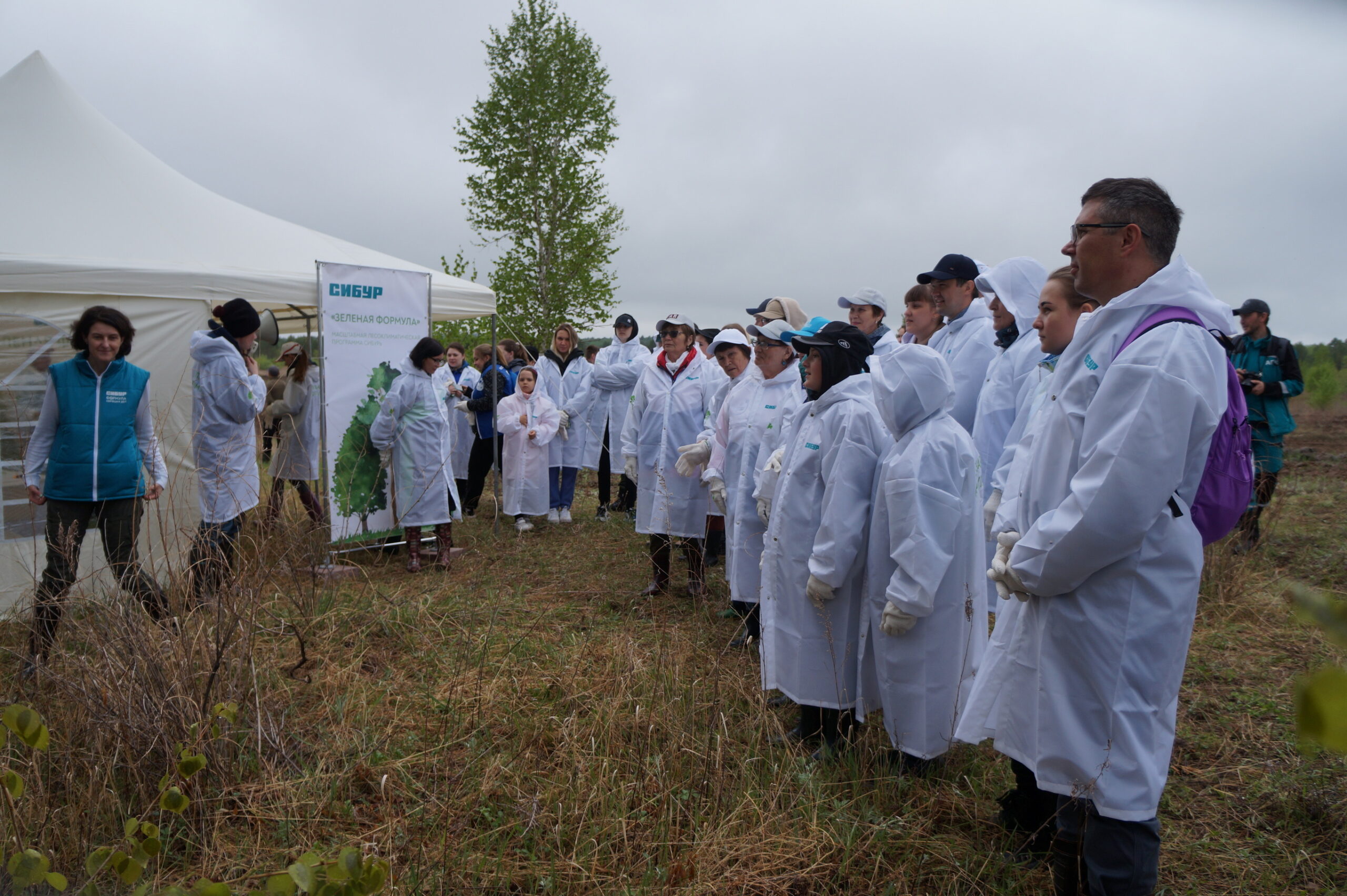 8000 новых сосенок посадили в Свободненском районе