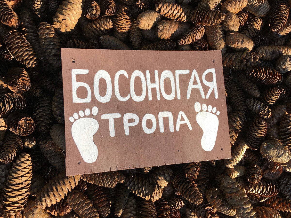 Босоногая тропа. Эко-смена «Зюраткуль»