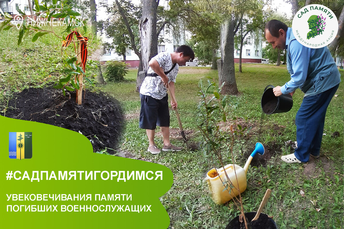 В Нижнекамске, волонтеры высаживают яблони, сосны, ели, вишни и туи в памяти о погибших…