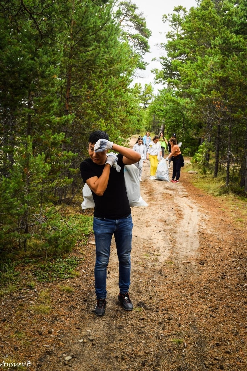 Расчёска, кальяны и тапки на деревьях
