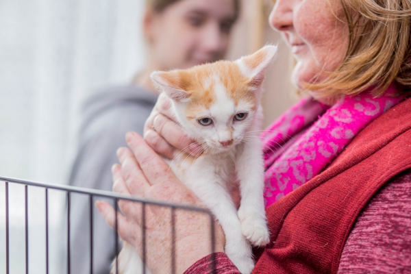В Суоярви (Республика Карелия) состоялся благотворительный концерт «Лапка друга»