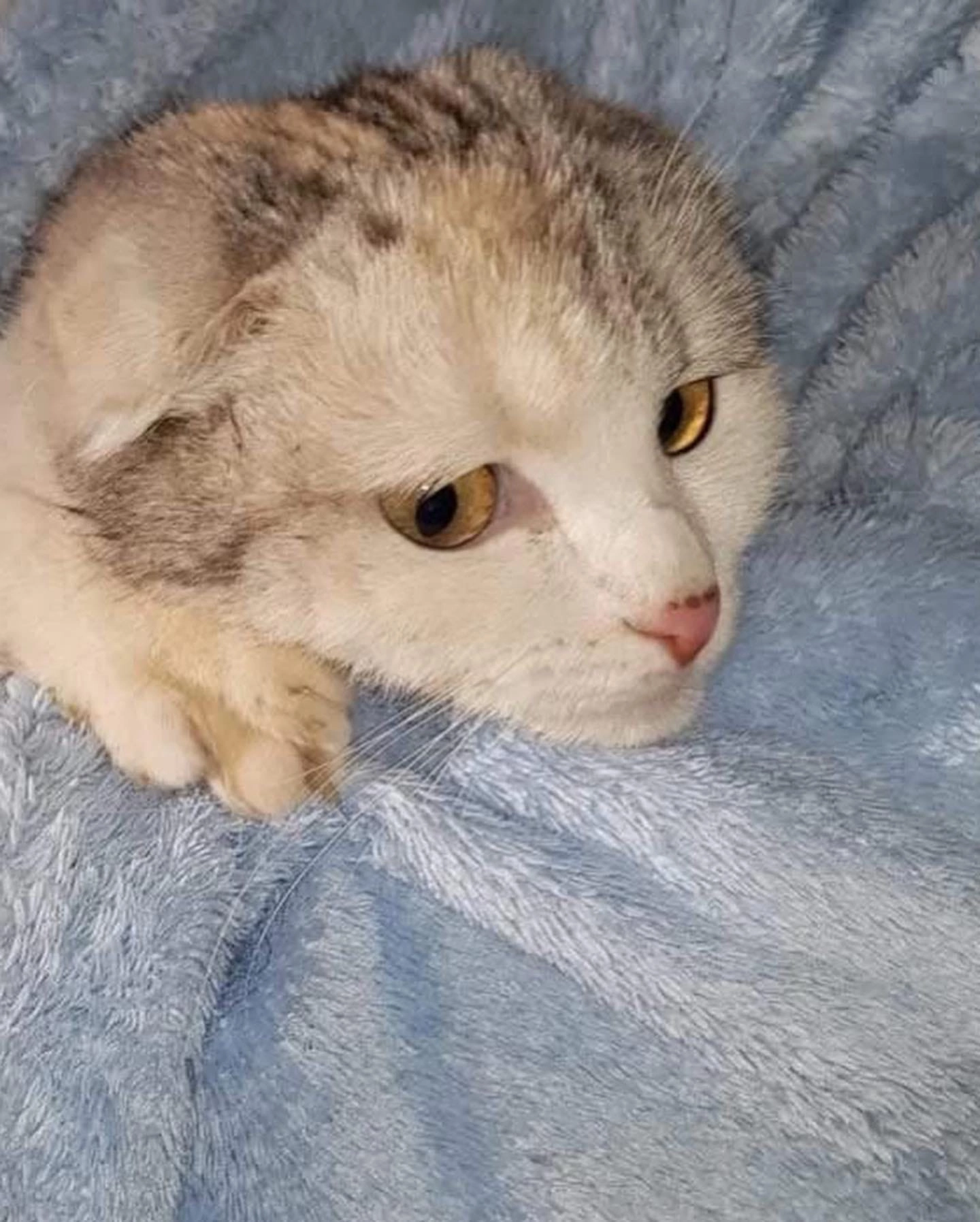 История спасения