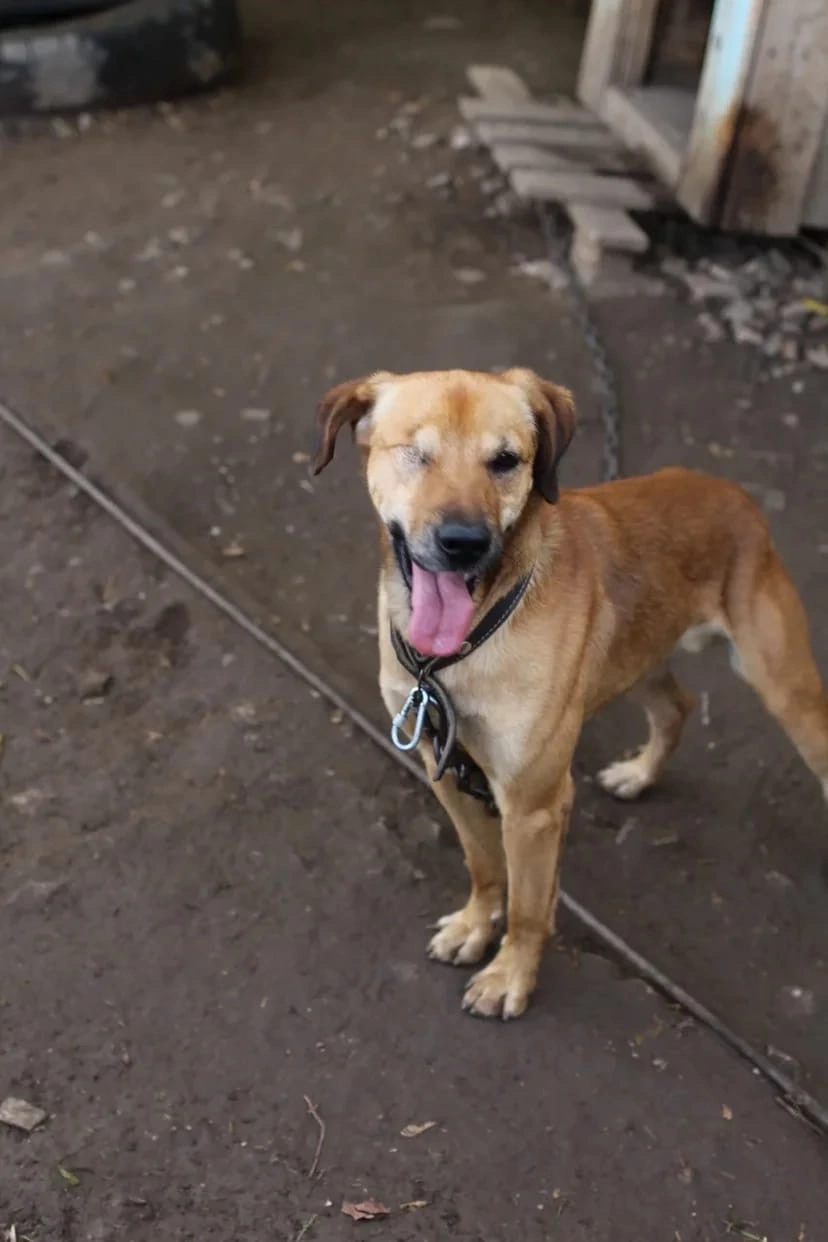 История со счастливым концом.