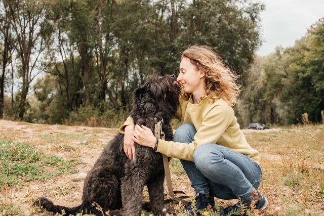 «Мир меняют люди»: благотворительному фонду «Рука помощи бездомным животным» исполняется девять лет