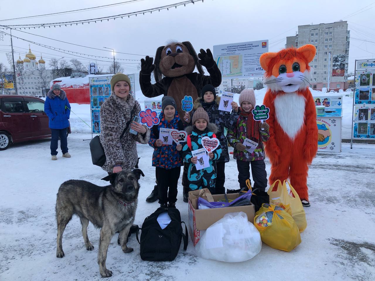Более 100 кг кормов, вещей и лекарств собрали магаданцы для животных из приюта