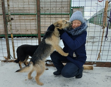 Волонтеры помогают собакам в приюте «Бирюлево»