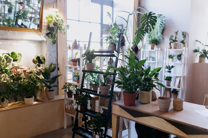 В Петербурге появится инклюзивная цветочная мастерская от «Простых вещей»