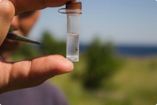 10.000 добровольцев проекта «Окружающий мир»