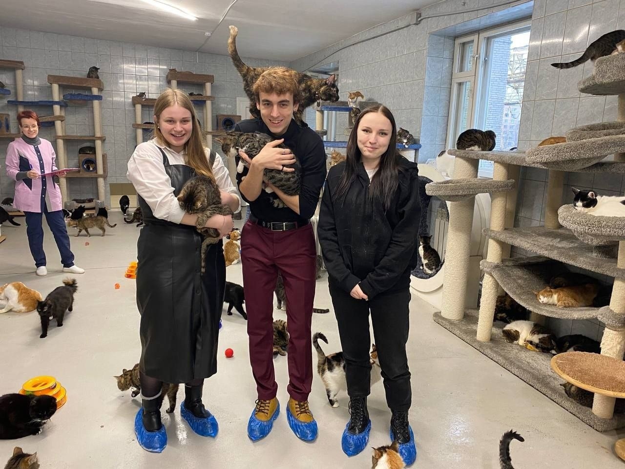 Собранная помощь доставлена в приют «Преданное сердце»