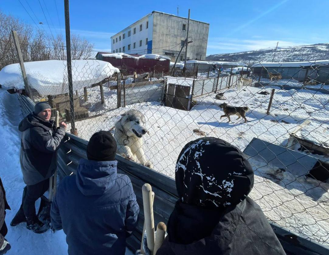 Волонтеры Магадана объединились для помощи животным из приюта «Право на жизнь»