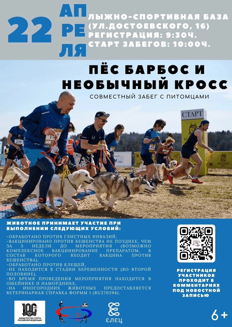 Пес Барбос и необычный кросс…