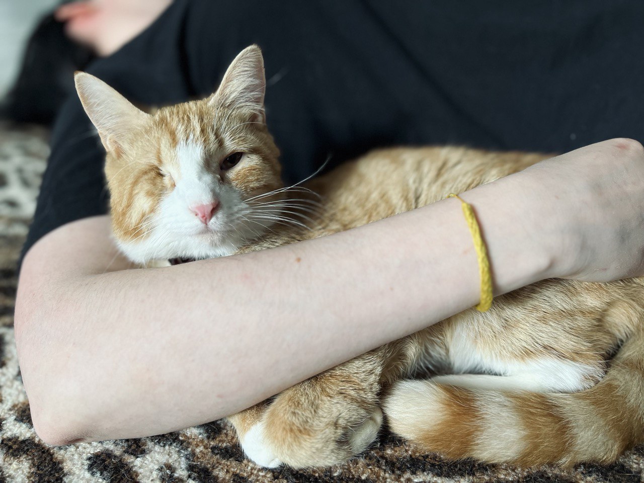 «Преданное сердце» просит помочь кормом для животных из зон затопления