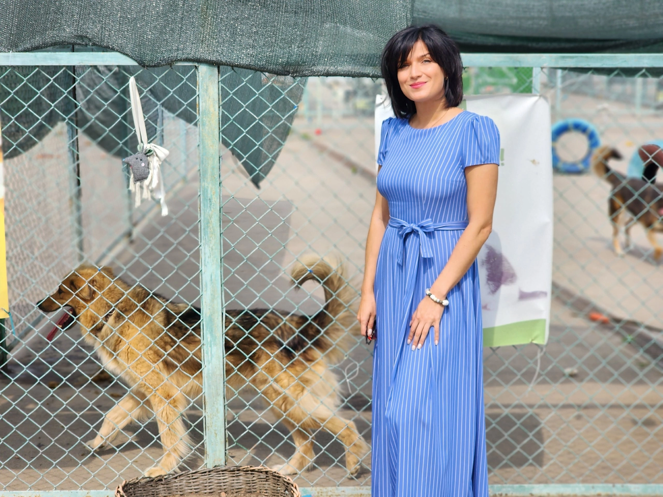 В Гостях у Приюта