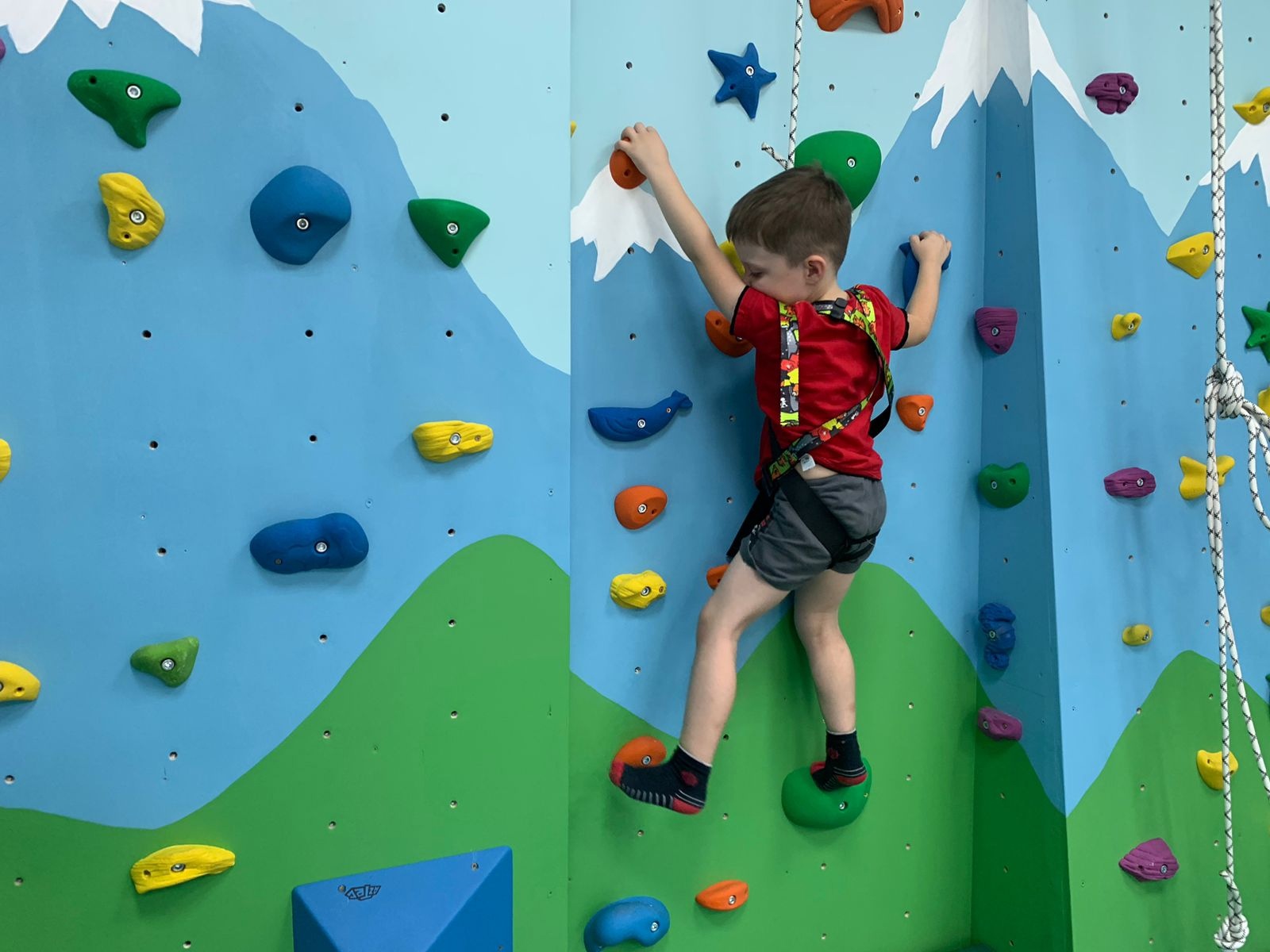 Новосибирские дети с инвалидностью достигают собственных вершин!