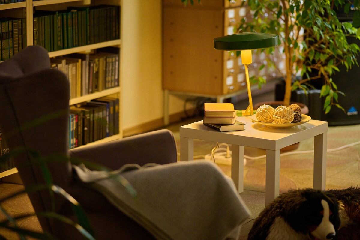 Ночник, гитара и стихи