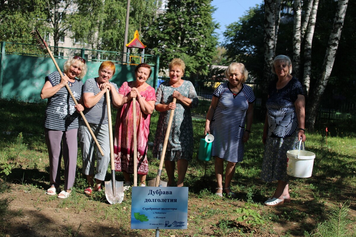 Дубрава долголетия находится под надёжной защитой серебряных волонтёров