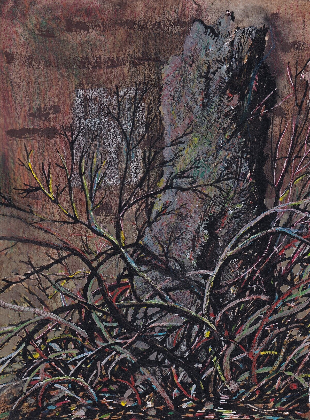 «Эко-графическая серия» | «Eco-graphic series»
Художник Дмитрий Дриаев