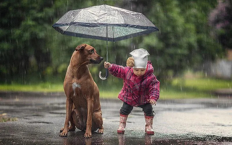Петербуржцы жертвуют на благотворительность больше других россиян