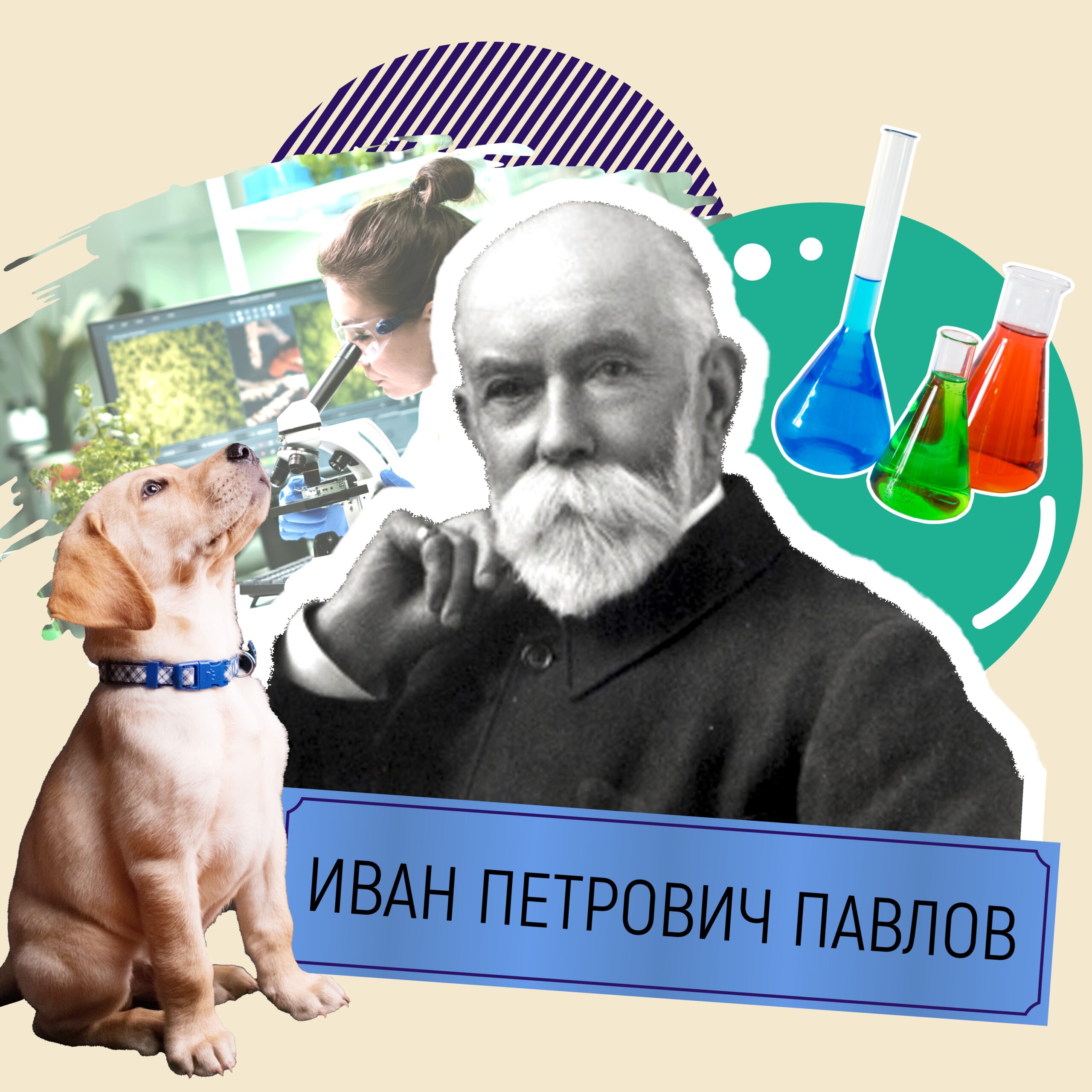 Никогда не думайте, что вы всё знаете»: в погоне за счастьем Иван Павлов  создал новую науку - Добро.Медиа