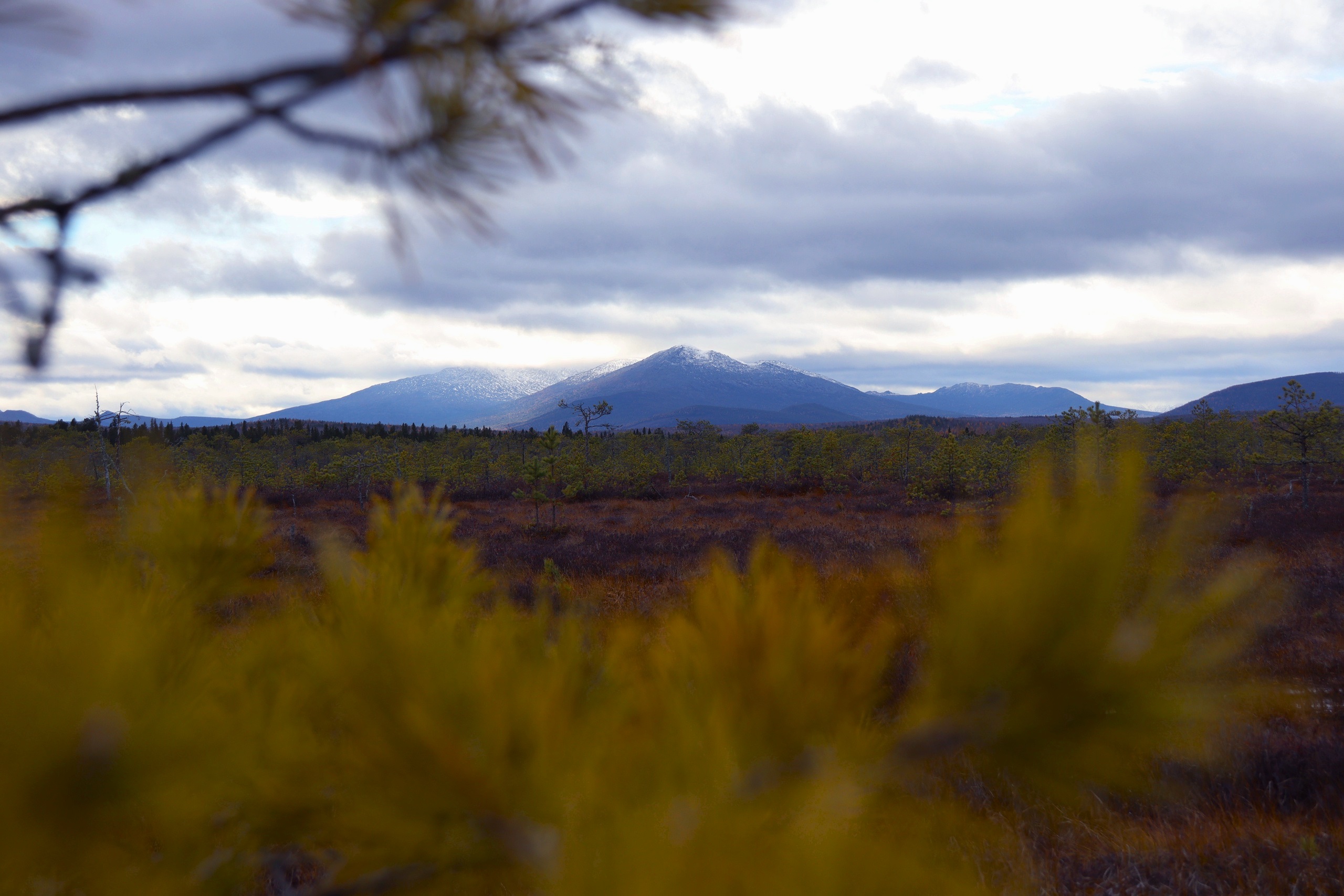Ночь географии во Всеволодо-Благодатском