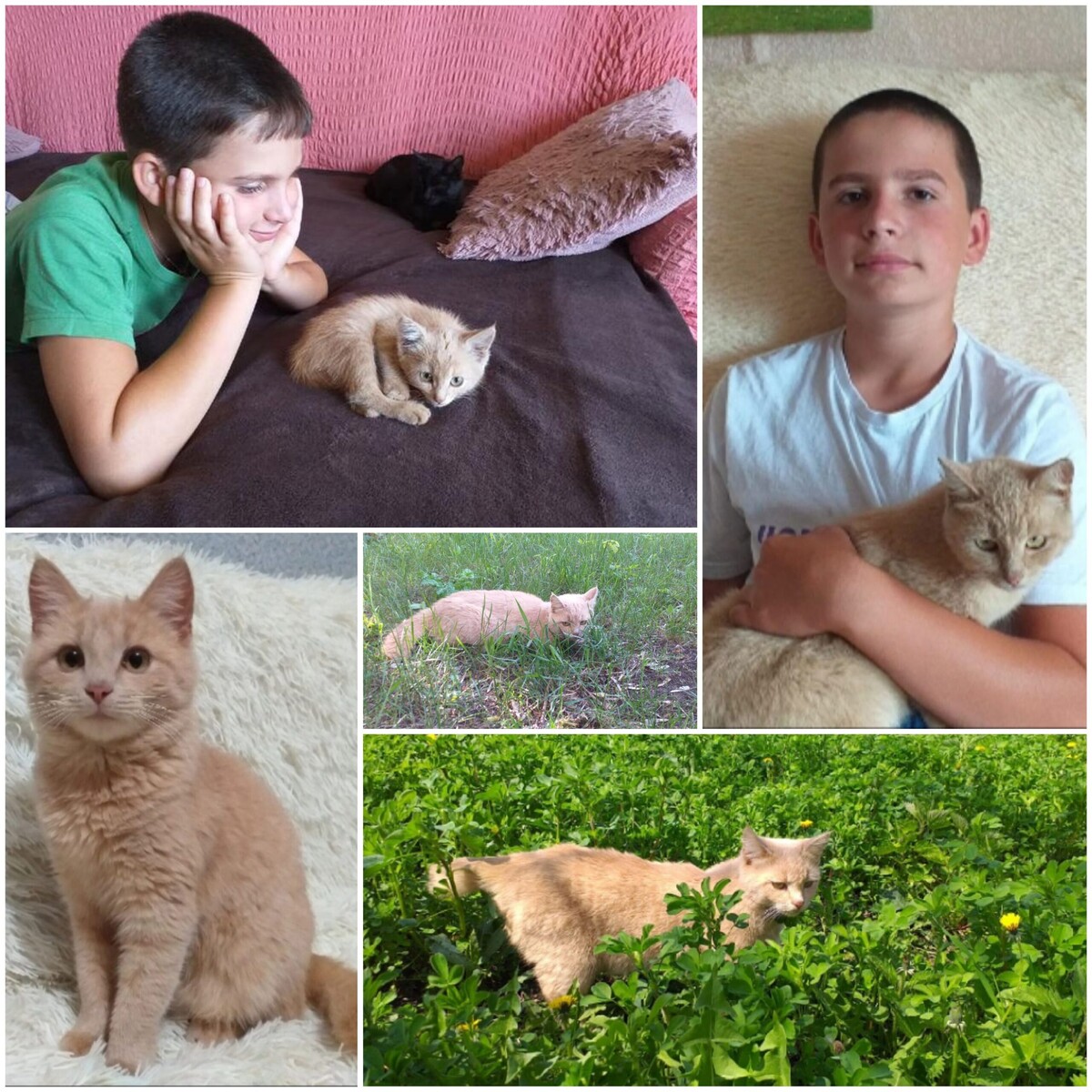 «Милая Киара»