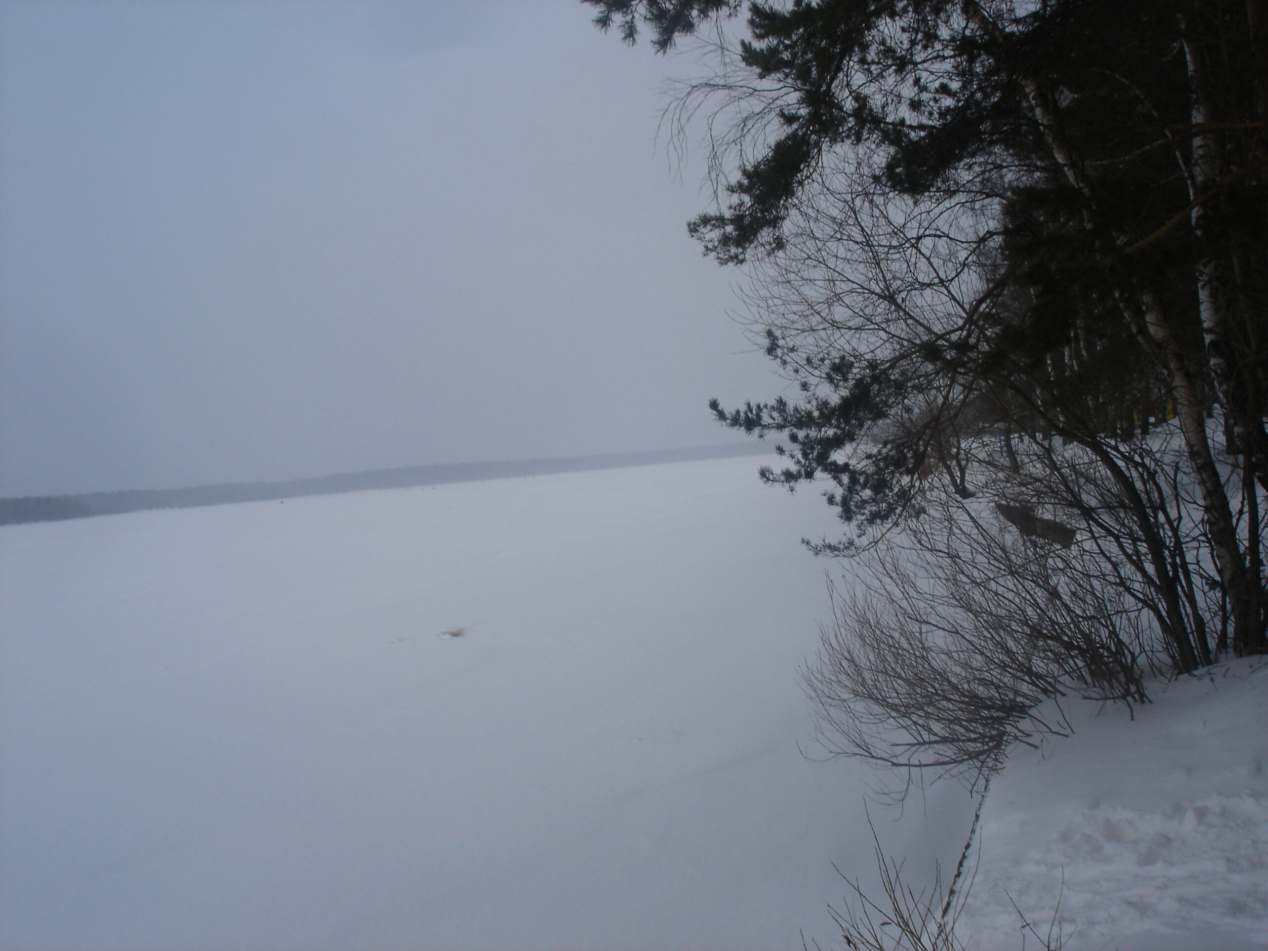 Добро пожаловать домой, дети новой России!