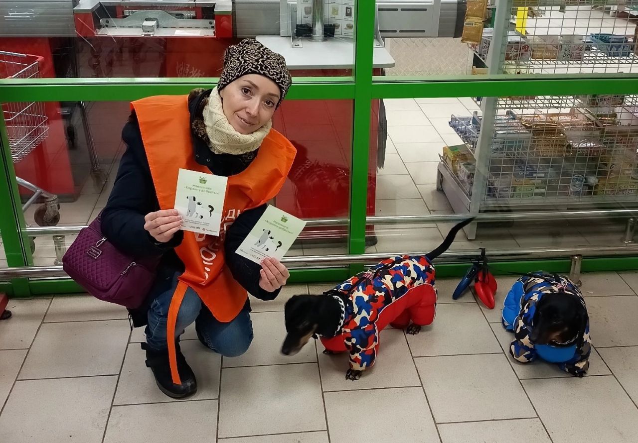 «ПЯТЁРОЧКА» И БАНК ЕДЫ «РУСЬ» ЗАПУСТИЛИ ДОПОЛНИТЕЛЬНЫЙ СБОР КОРМОВ ДЛЯ ЖИВОТНЫХ