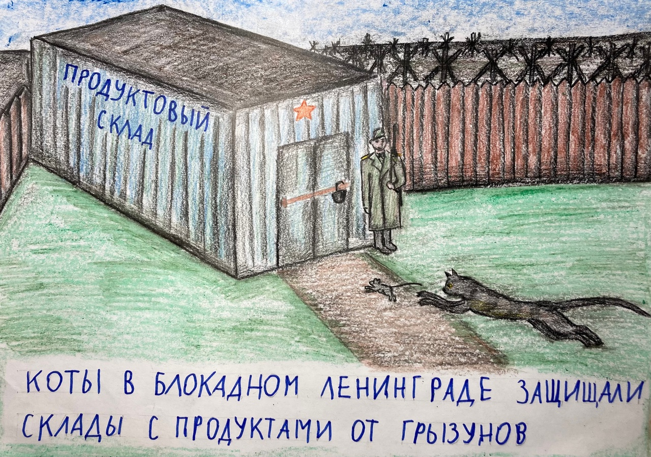 2000 рисунков «хвостатых защитники Родины» нарисуют петербургские дети