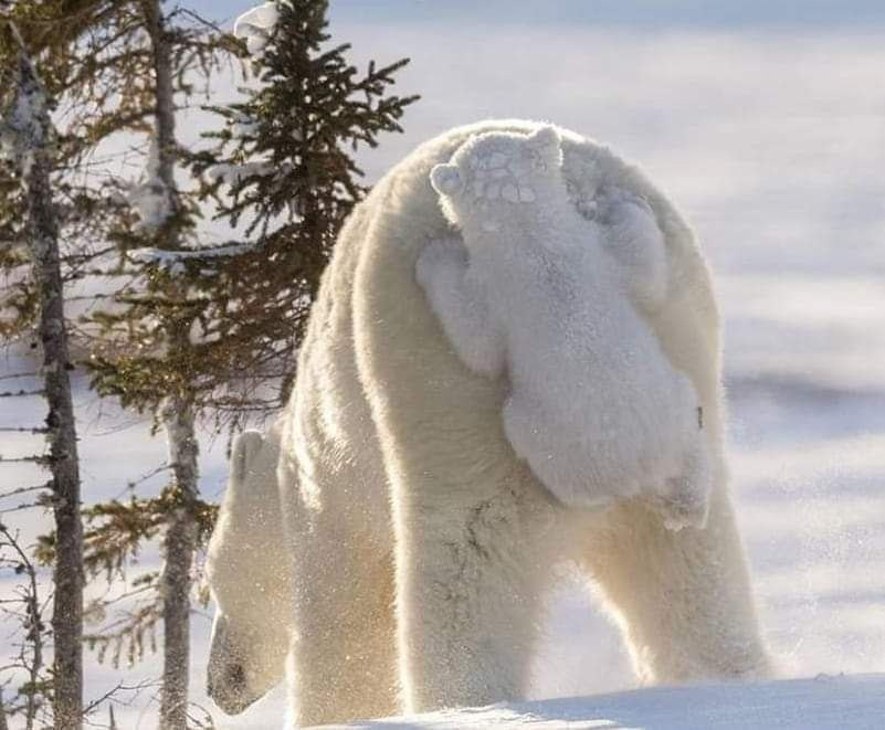 Выбирай, ведь ты свободен